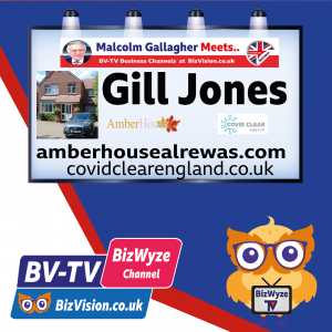 Gill Jones of Amber House B&B on BizVision BV-TV BizWyze Show