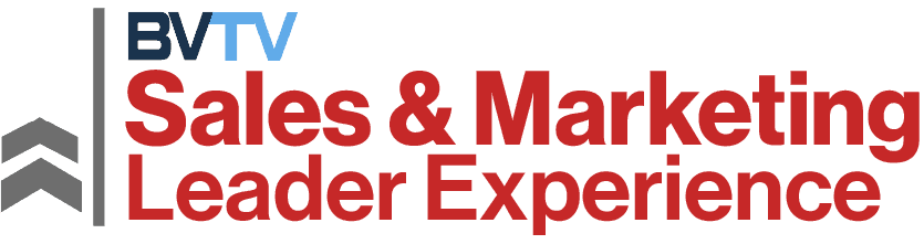 sales & Marketing Leader Experience at bvtvglobal.com